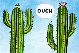 Prickly like a cactus…I think&nbsp;maybe…