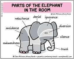 Meet the Elephant…